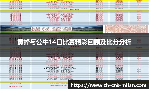 黄蜂与公牛14日比赛精彩回顾及比分分析